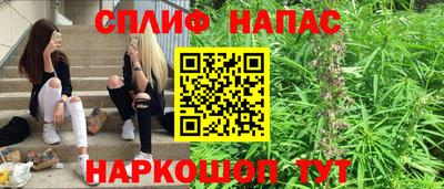 крисы Краснознаменск