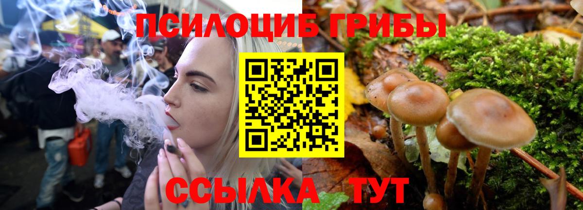 Семёнов  Галлюциногенные грибы прущие грибы  Галлюциногенные грибы ЛСД  Вход с VPN 