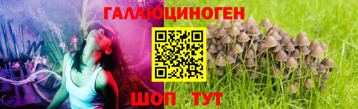 Галлюциногенные грибы мицелий Семёнов